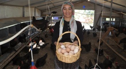 Kapıcı olacaktı, yumurta tavukçusu oldu