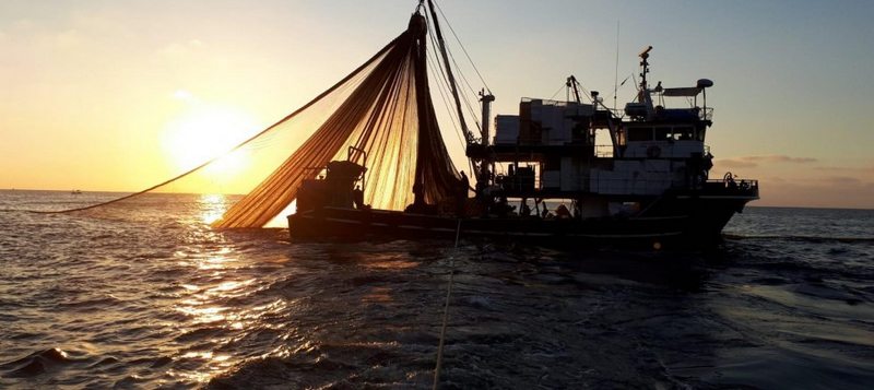 Karadeniz`e açıldılar, tonlarca palamutla döndüler