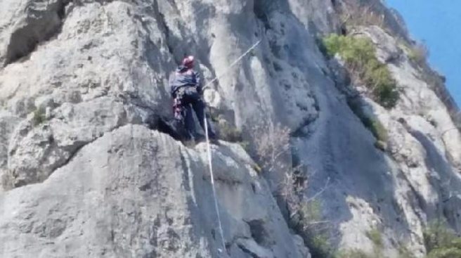 Kayalıkta mahsur kalan keçiyi AFAD kurtardı