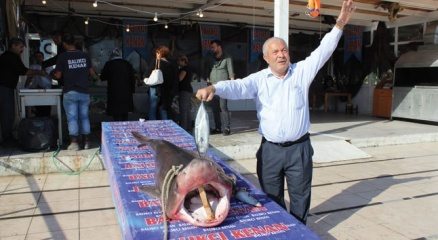 Köpek balığı kanser hastalarına şifa olacak