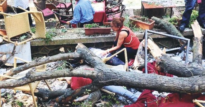 Koruda 3 kişinin ölmesinde tek suçlu ağaç çıktı