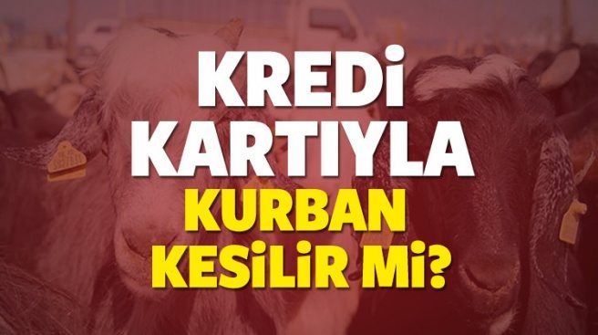 Kredi kartıyla kurbanlık alınır mı? Taksitle kurban kesenler...