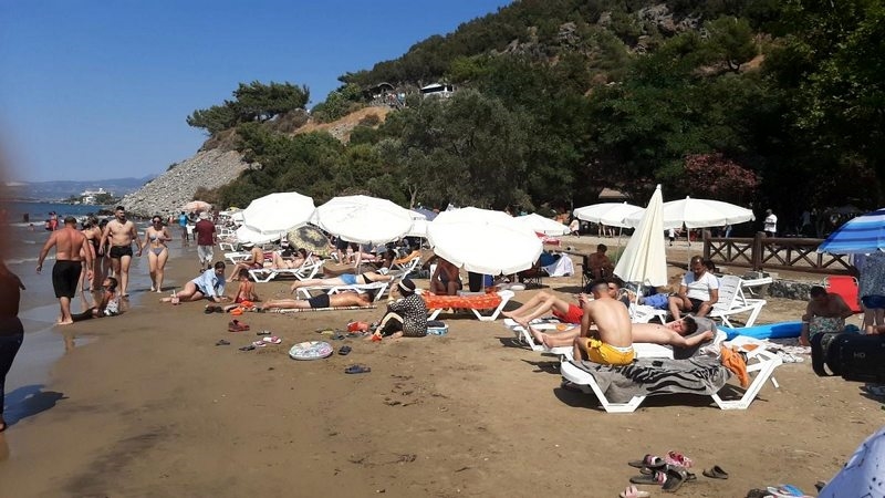 Kuşadası Milli Park`ındaki şezlong ve şemsiye fiyatları tepki çekti: Bu kadar da olmaz, yazıktır, günahtır