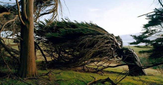 Meteorolojiden 2 il için kuvvetli rüzgar uyarısı