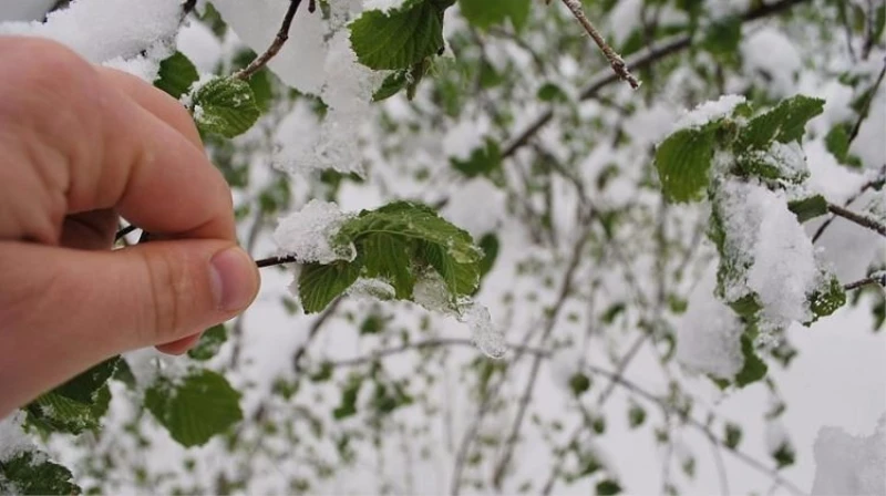Meteorolojiden 5 il için uyarı!