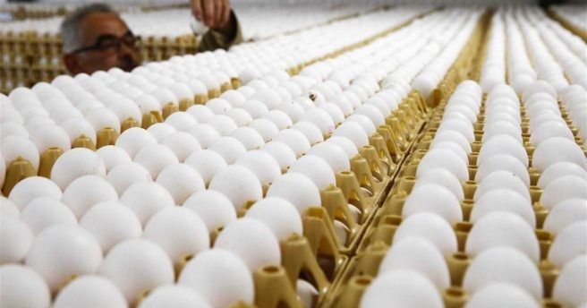 Milyonlarca yumurta raflardan kaldırıldı