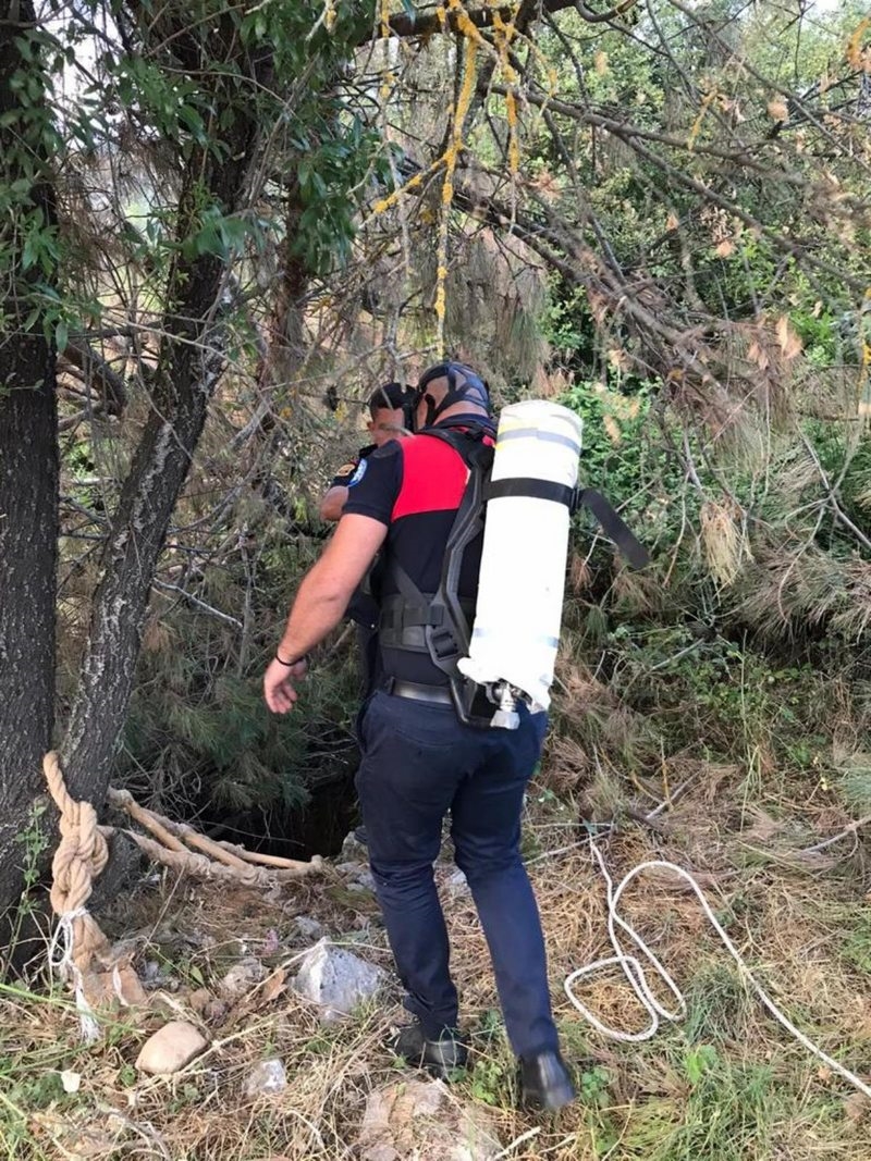 Muğla`da kuyuya düşen 4 keçiden biri telef oldu