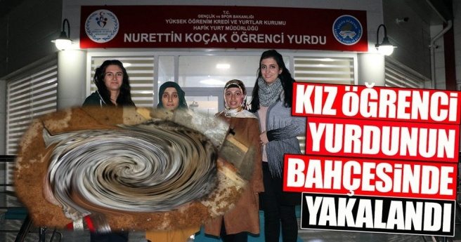 Öğrenci yurdunun bahçesinde yavru vaşak yakalandı