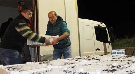 Ordu balık halinde kıyasıya rekabet