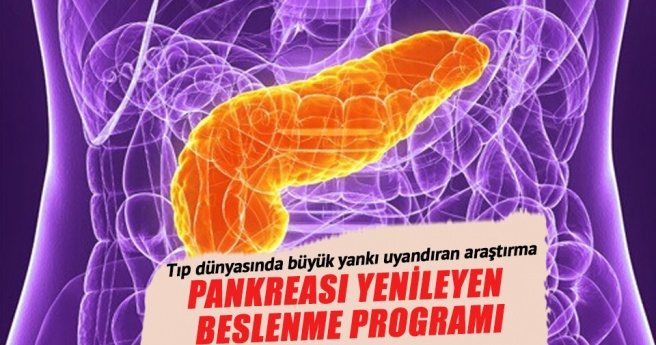 Pankreası yenileyen beslenme programı