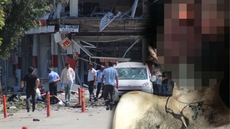 PKK'lı teröristin boynundan haç çıktı