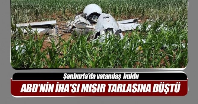 Şanlıurfa`da mısır tarlasına insansız hava aracı düştü