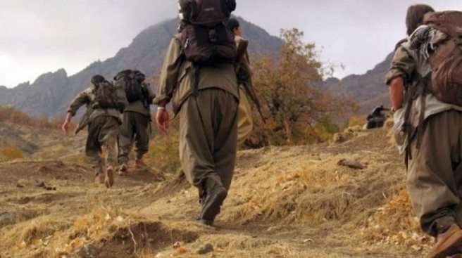 Şemdinli`de 3 PKK`lı öldürüldü