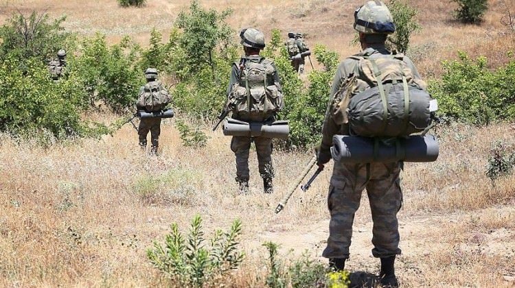 Siirt'te teröristlere 'Temizyürek' operasyonu