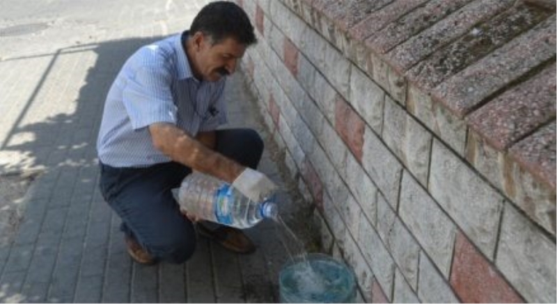 Sokak hayvanlarına 4 yıldır her gün su ve yemek veriyor