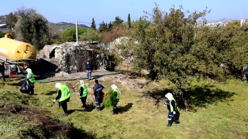 Son dakika... Bodrum`da Roma dönemine ait kaya mezarlarının turizme kazandırma çalışmaları