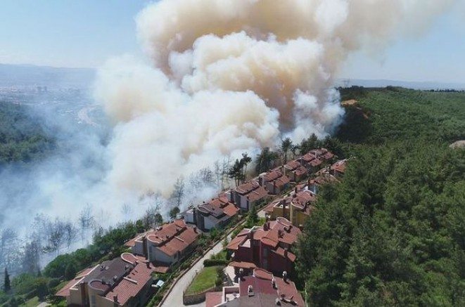 Son dakika: Bursa`da korkutan orman yangını! Giderek büyüyor...