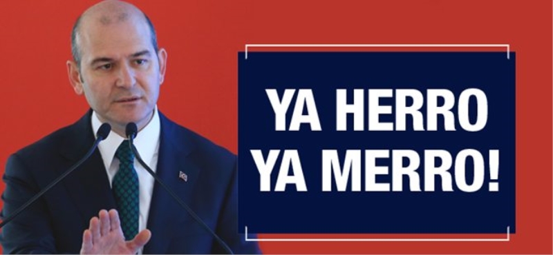 Süleyman Soylu uyardı: Ya herro ya merro!