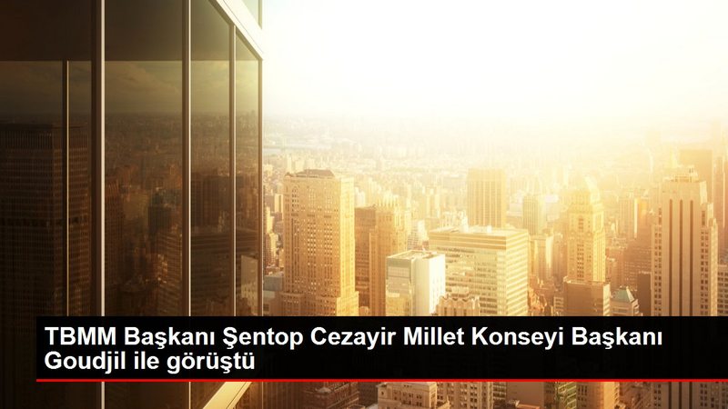 TBMM Başkanı Şentop Cezayir Millet Konseyi Başkanı Goudjil ile görüştü