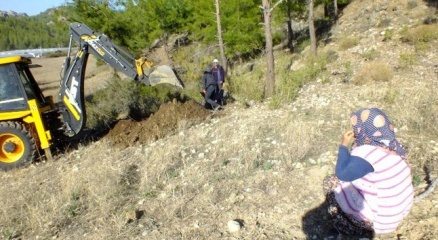 Telef olan koyunlarının arkasından gözyaşı döktü