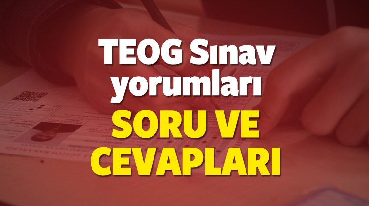 TEOG (Fen Bilimleri, İnkilap, Yabancı dil) soru ve cevapları!