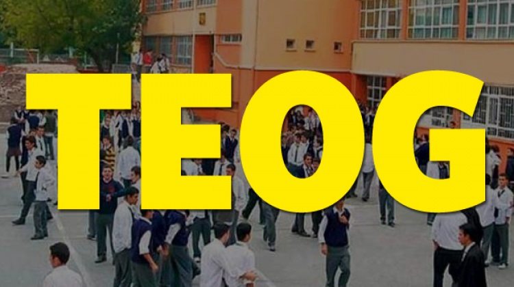 TEOG Fen Bilimleri soruları cevap anahtarları EBA