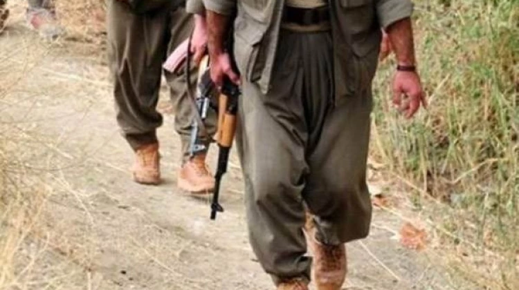 Terör örgütü PKK'ya bir ağır darbe daha