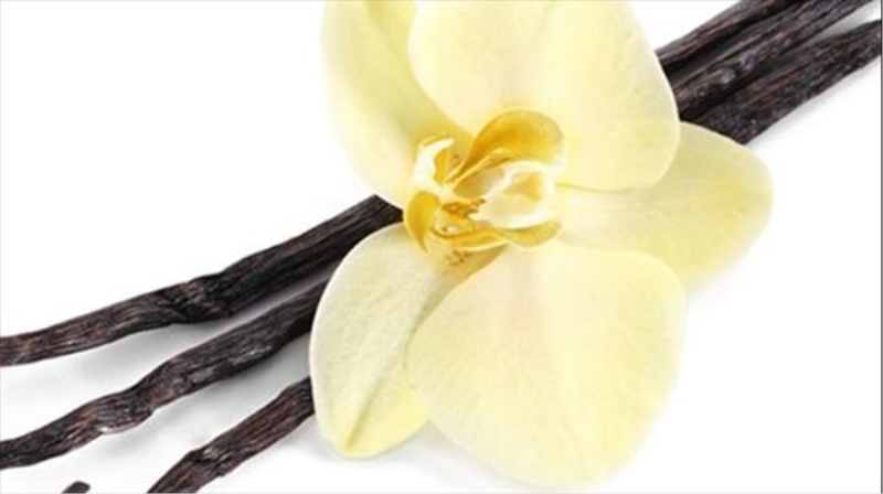 Vanilya fiyatları iki yılda dörde katlandı