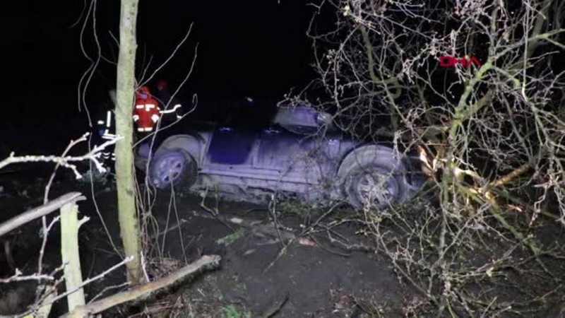 Yol kenarındaki ağaçlara çarpan kamyonetin sürücüsü öldü